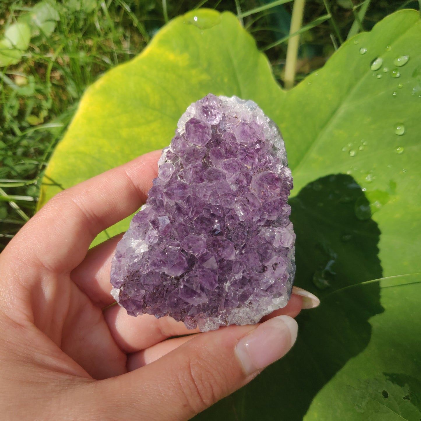 Amethyst Cluster (#10C) - Simply Affinity
