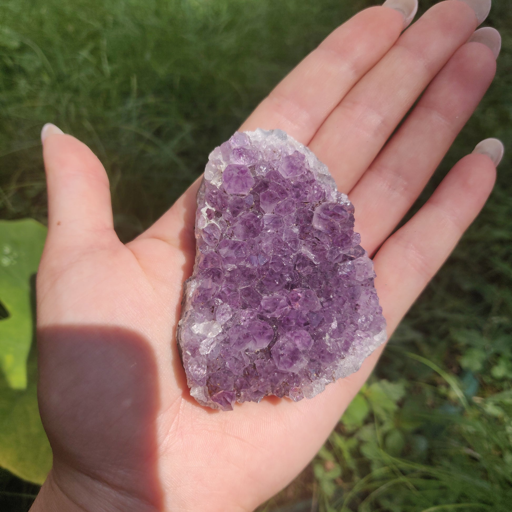 Amethyst Cluster (#10C) - Simply Affinity