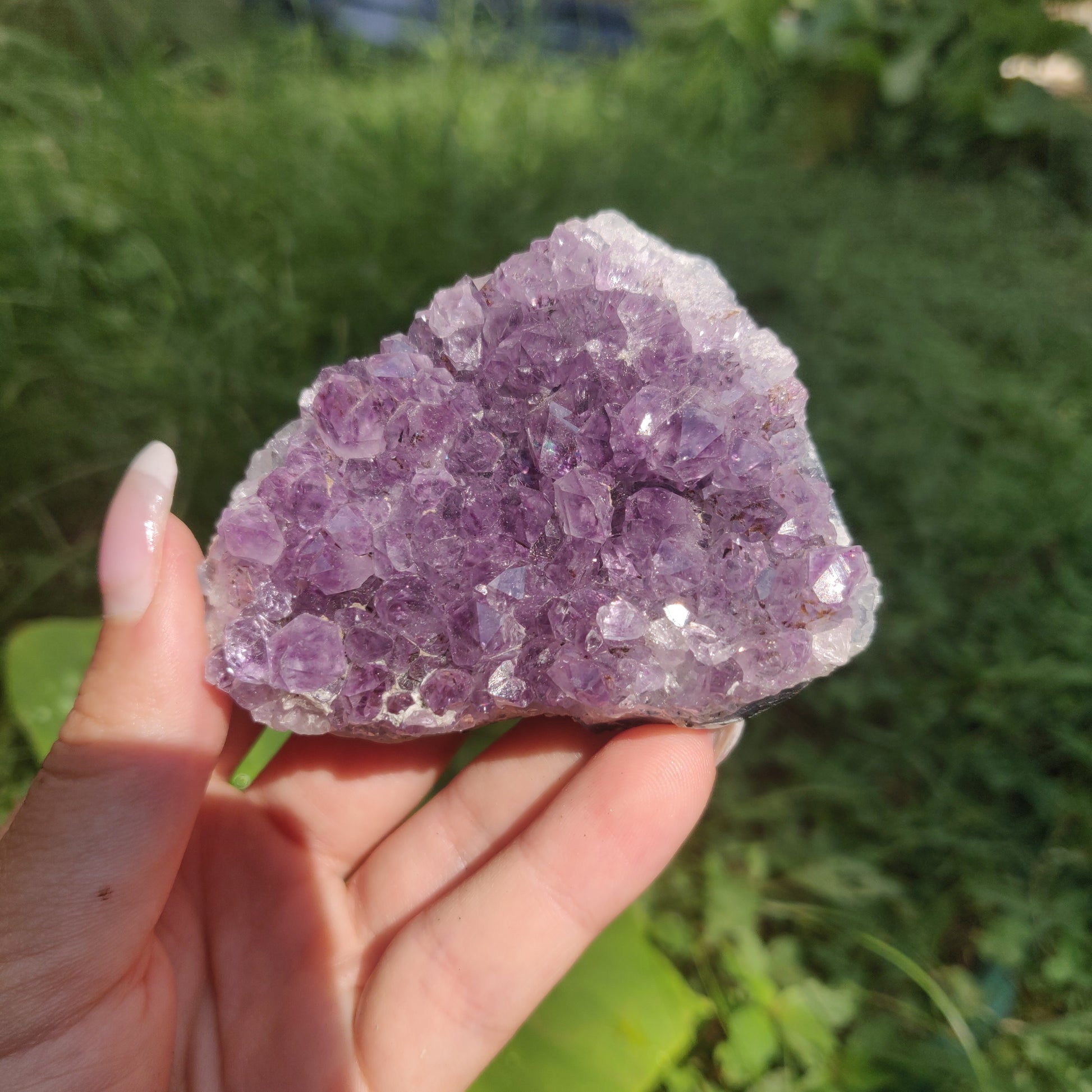 Amethyst Cluster (#10C) - Simply Affinity