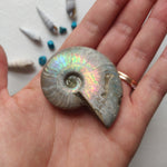 Small Opalized Ammonite (#24) - Simply Affinity