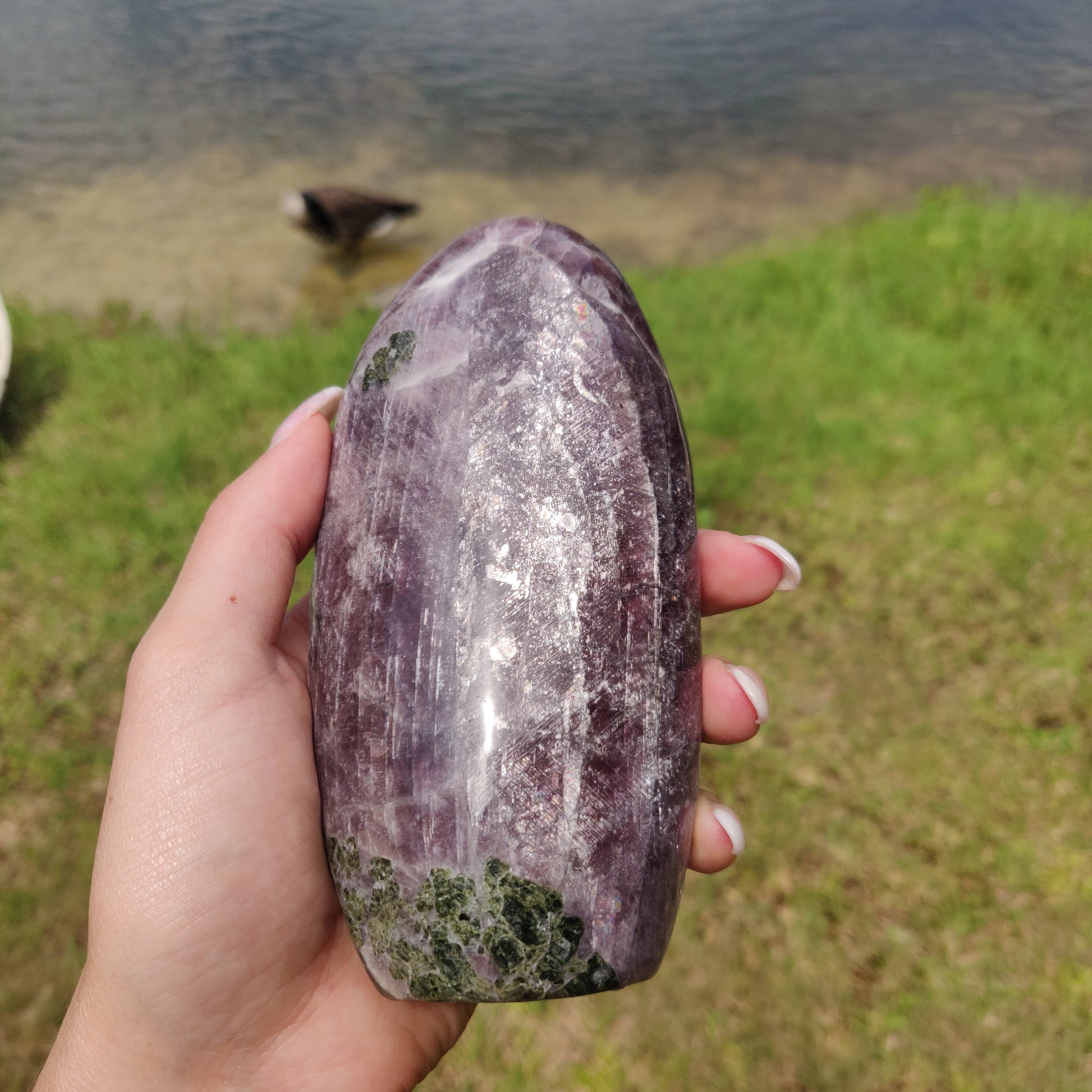 RARE Purple Anhydrite Free Form (#2) - Simply Affinity