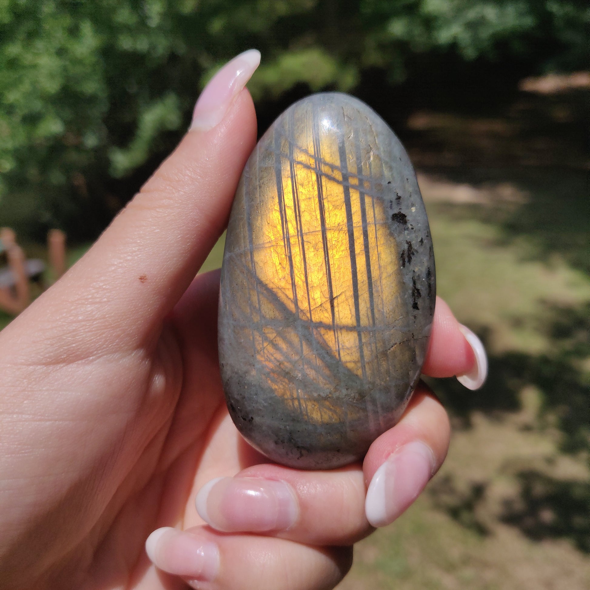 Labradorite Palm Stone (#294) - Simply Affinity
