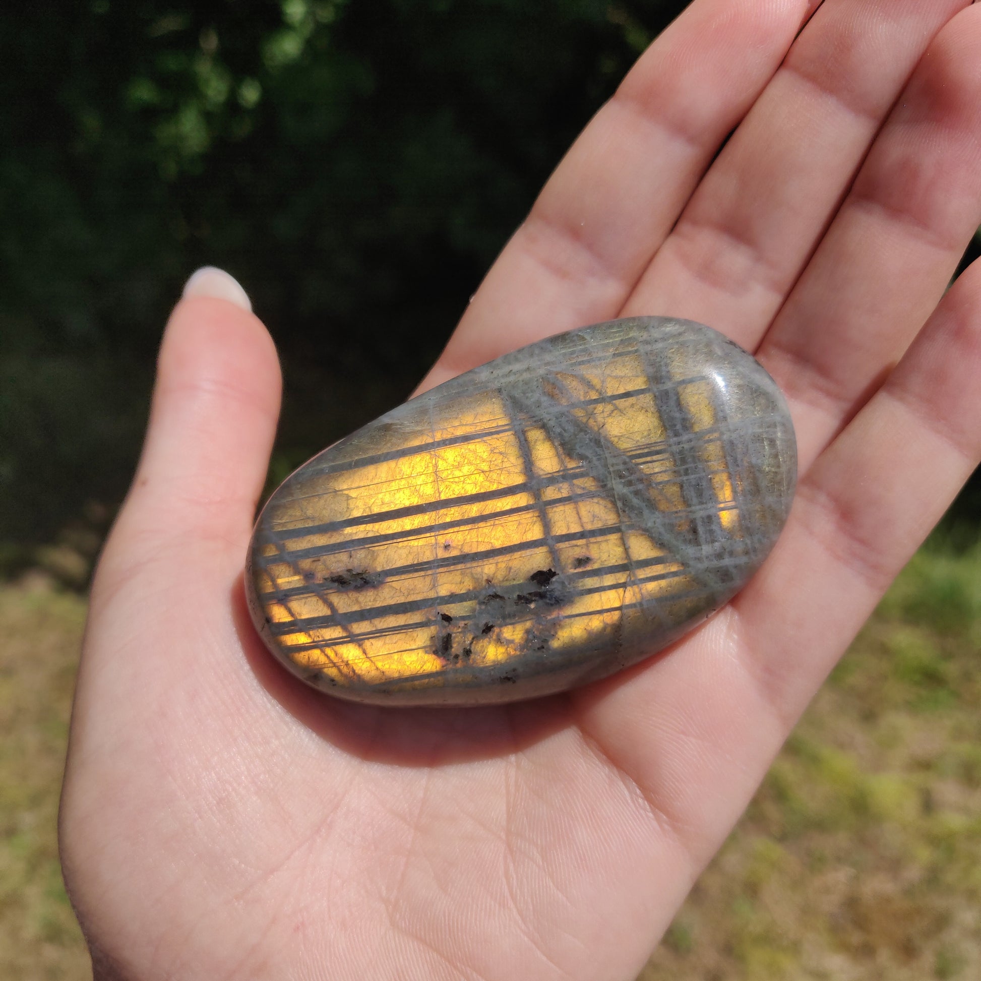 Labradorite Palm Stone (#294) - Simply Affinity