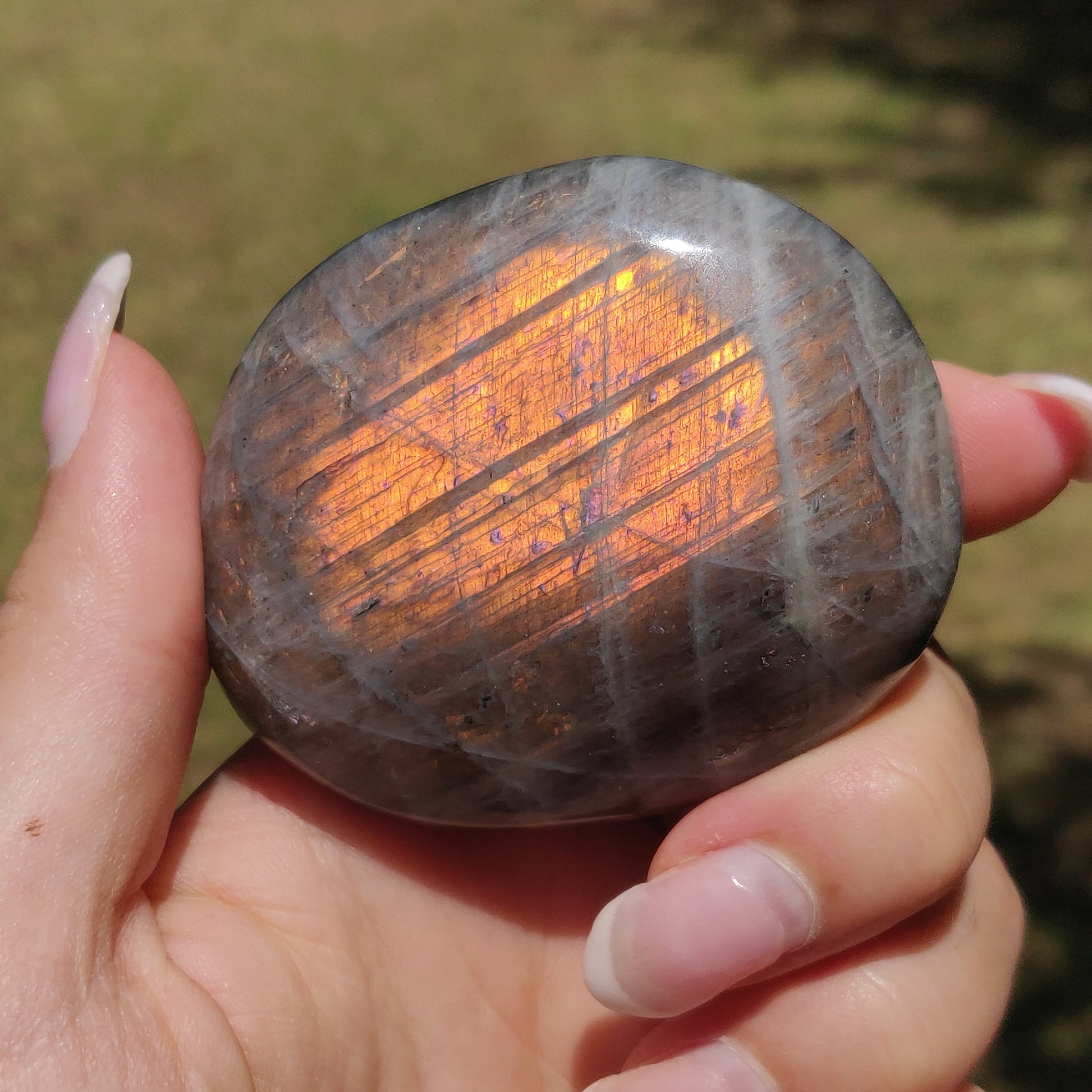 Labradorite Palm Stone (#318) - Simply Affinity
