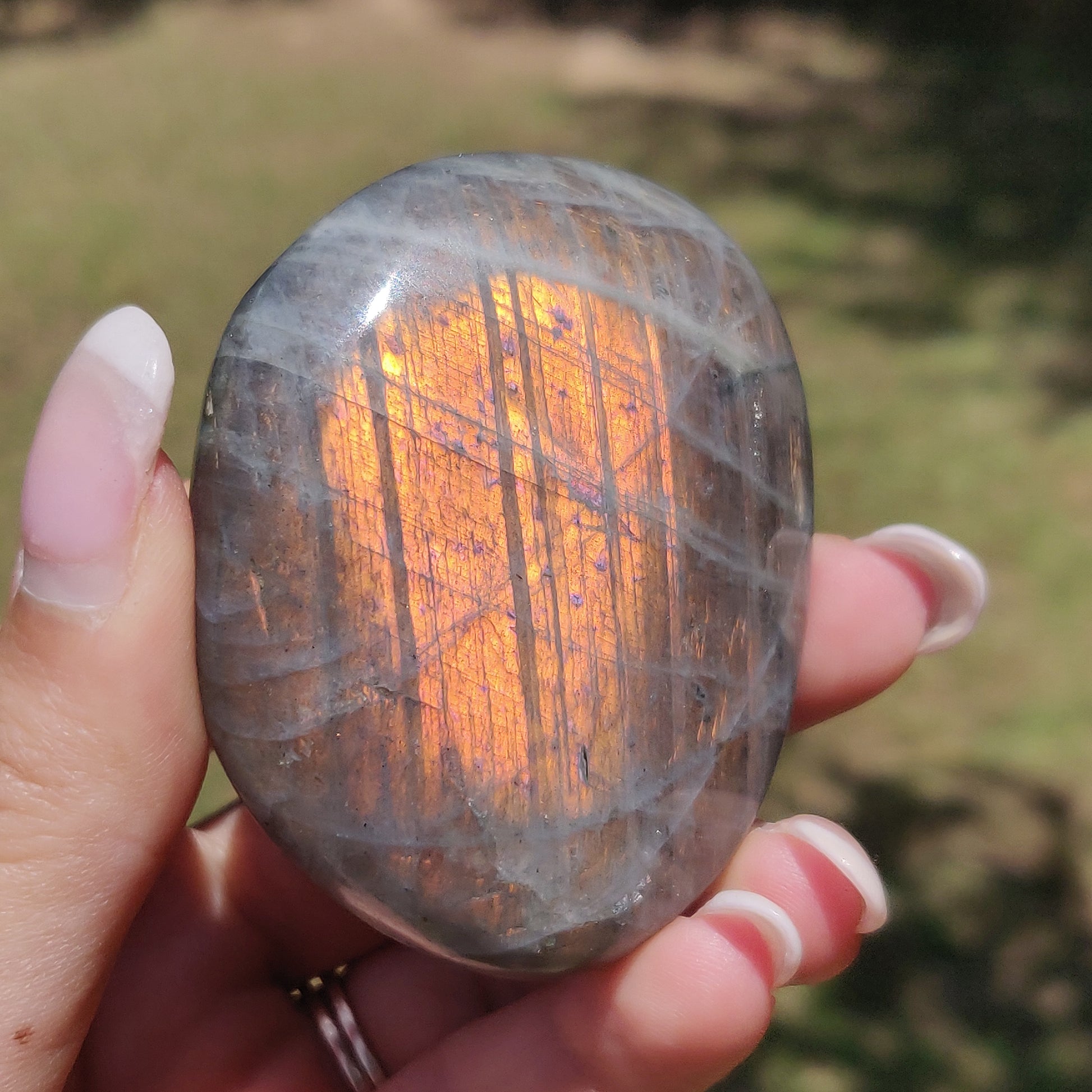 Labradorite Palm Stone (#318) - Simply Affinity