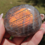 Labradorite Palm Stone (#318) - Simply Affinity
