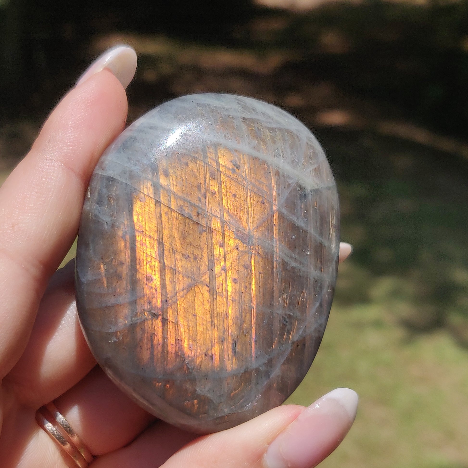 Labradorite Palm Stone (#318) - Simply Affinity