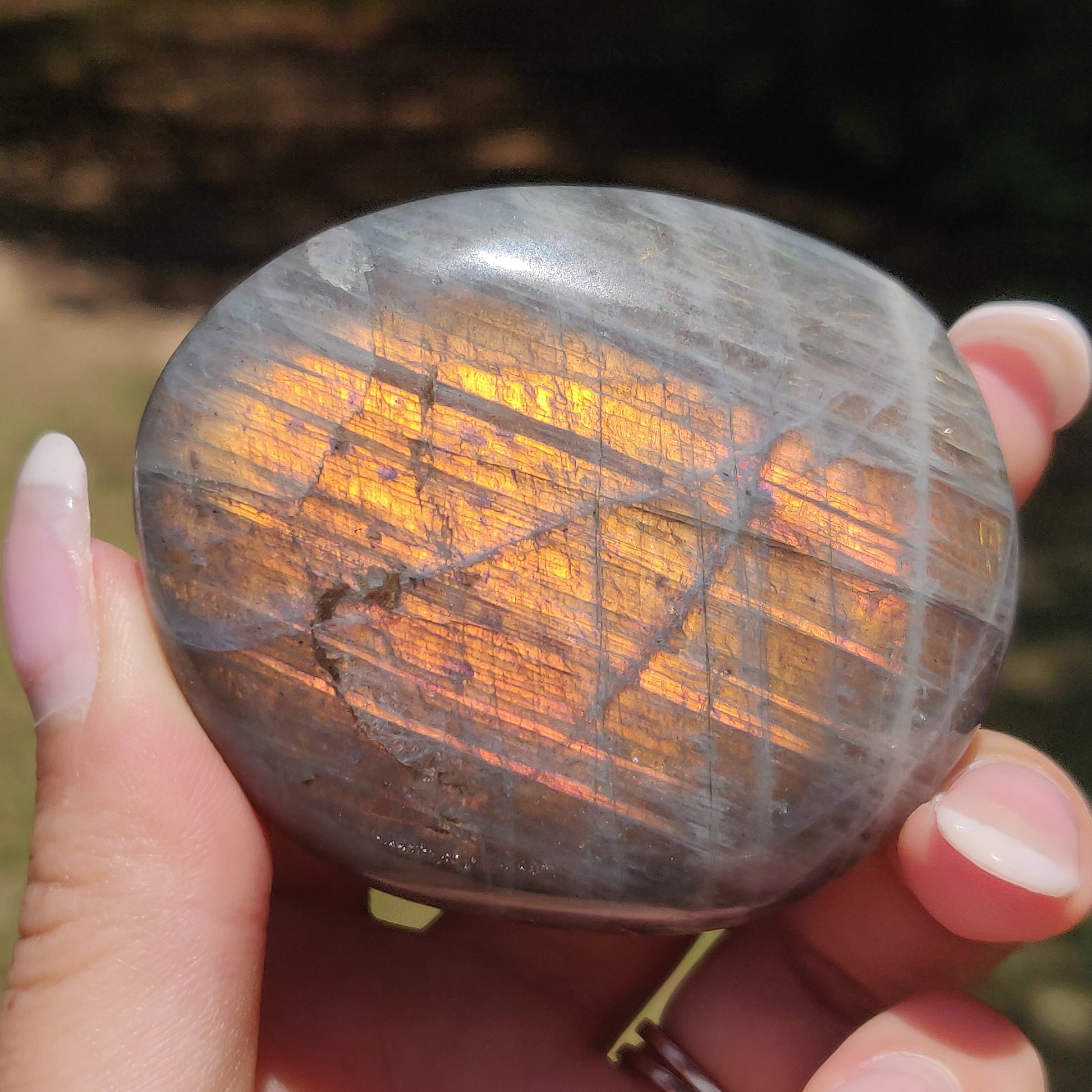 Labradorite Palm Stone (#318) - Simply Affinity