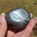 Labradorite Palm Stone (#321) - Simply Affinity