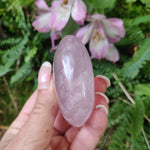 Rose Quartz Palm Stone, Star Rose Quartz (#3) - Simply Affinity