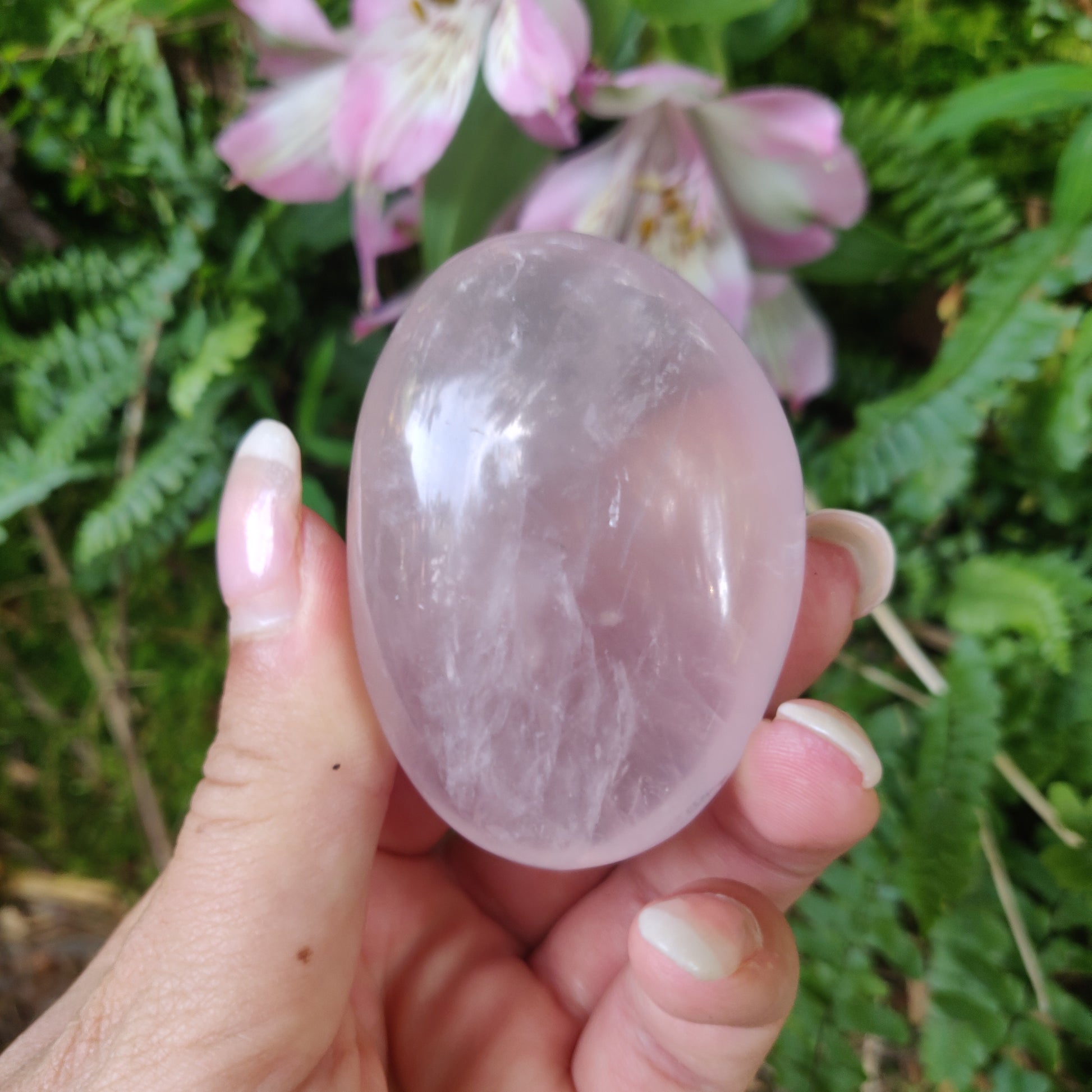 Rose Quartz Palm Stone, Star Rose Quartz (#3) - Simply Affinity