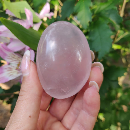 Rose Quartz Palm Stone, Star Rose Quartz (#3) - Simply Affinity