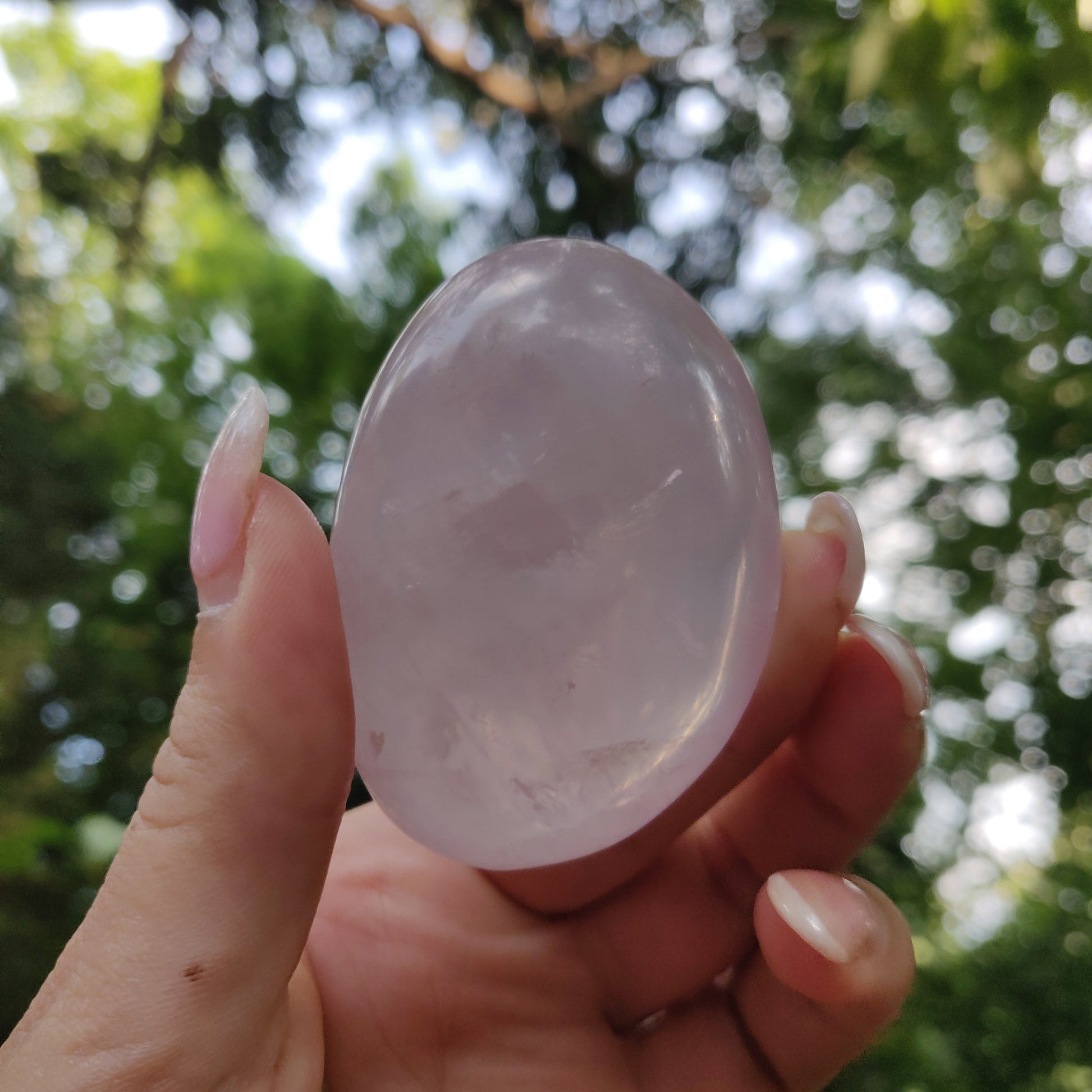 Rose Quartz Palm Stone, Star Rose Quartz (#3) - Simply Affinity