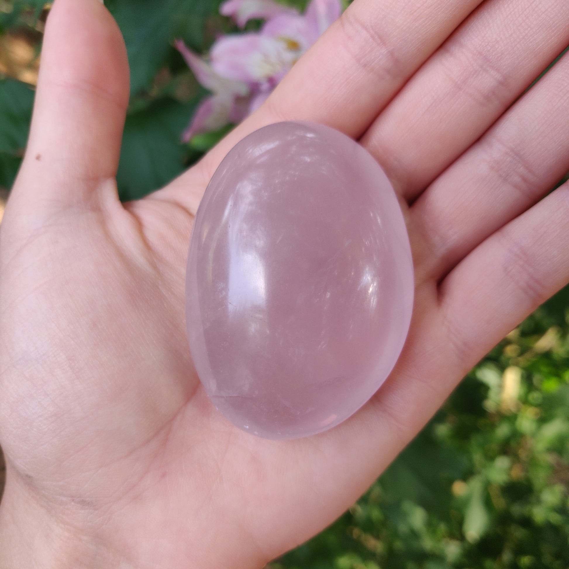 Rose Quartz Palm Stone, Star Rose Quartz (#3) - Simply Affinity