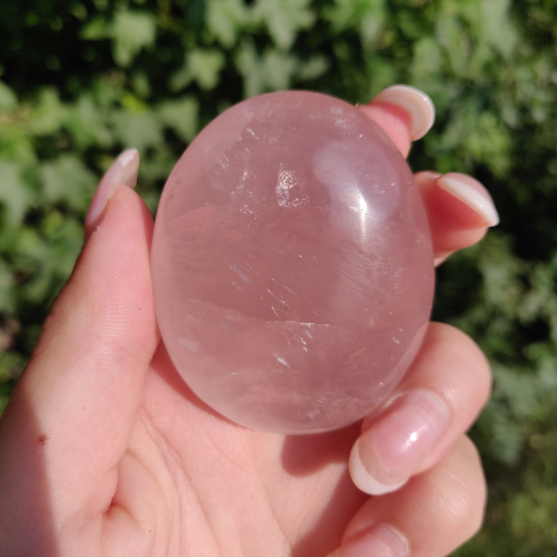 Rose Quartz Palm Stone, Star Rose Quartz (#4) - Simply Affinity