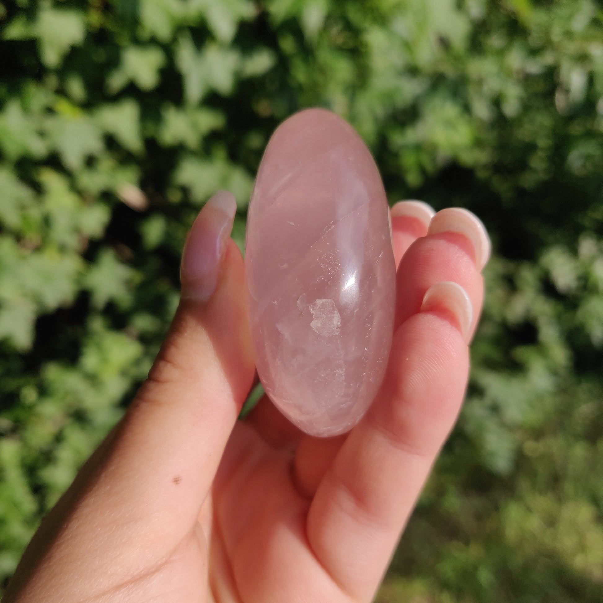 Rose Quartz Palm Stone, Star Rose Quartz (#4) - Simply Affinity