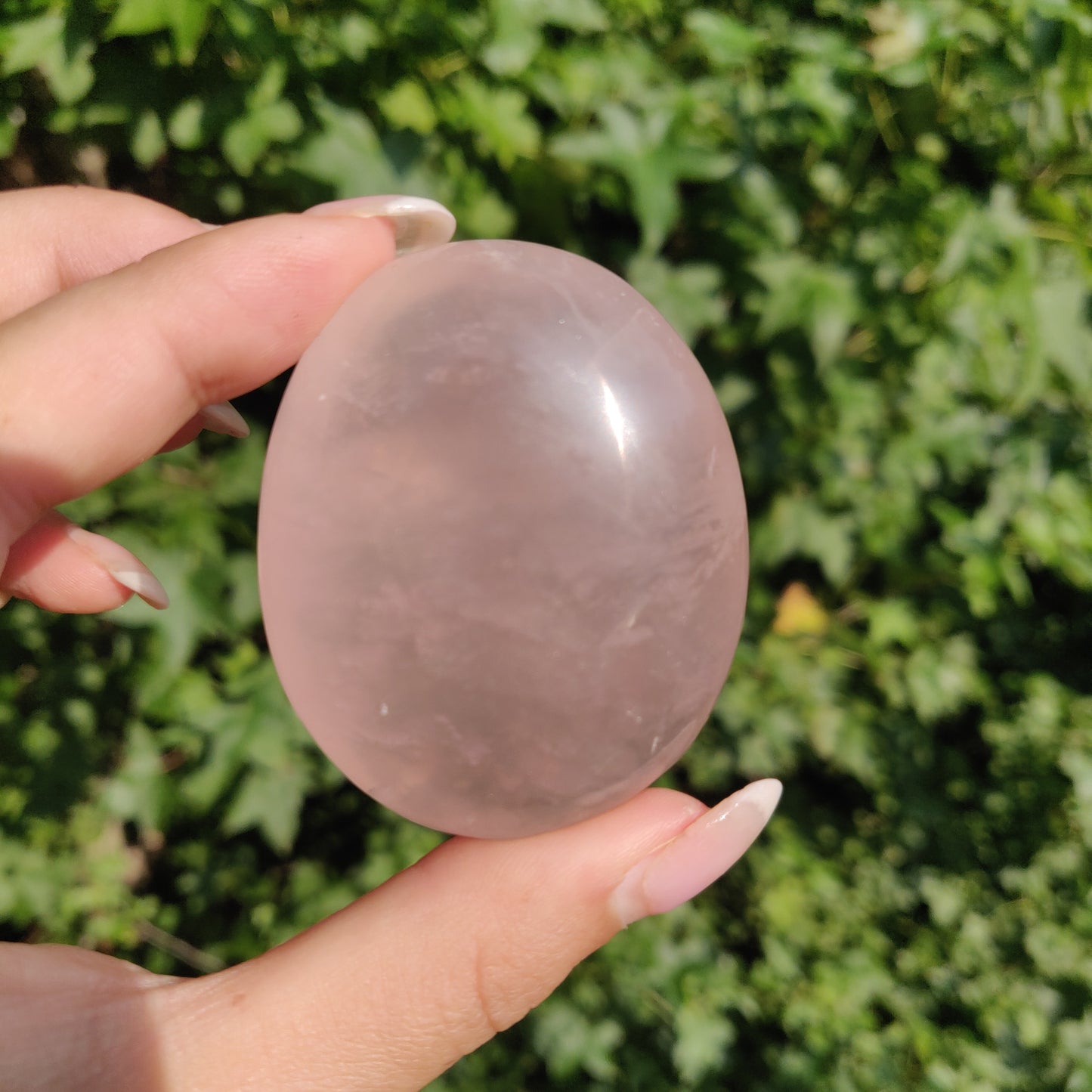 Rose Quartz Palm Stone, Star Rose Quartz (#4) - Simply Affinity