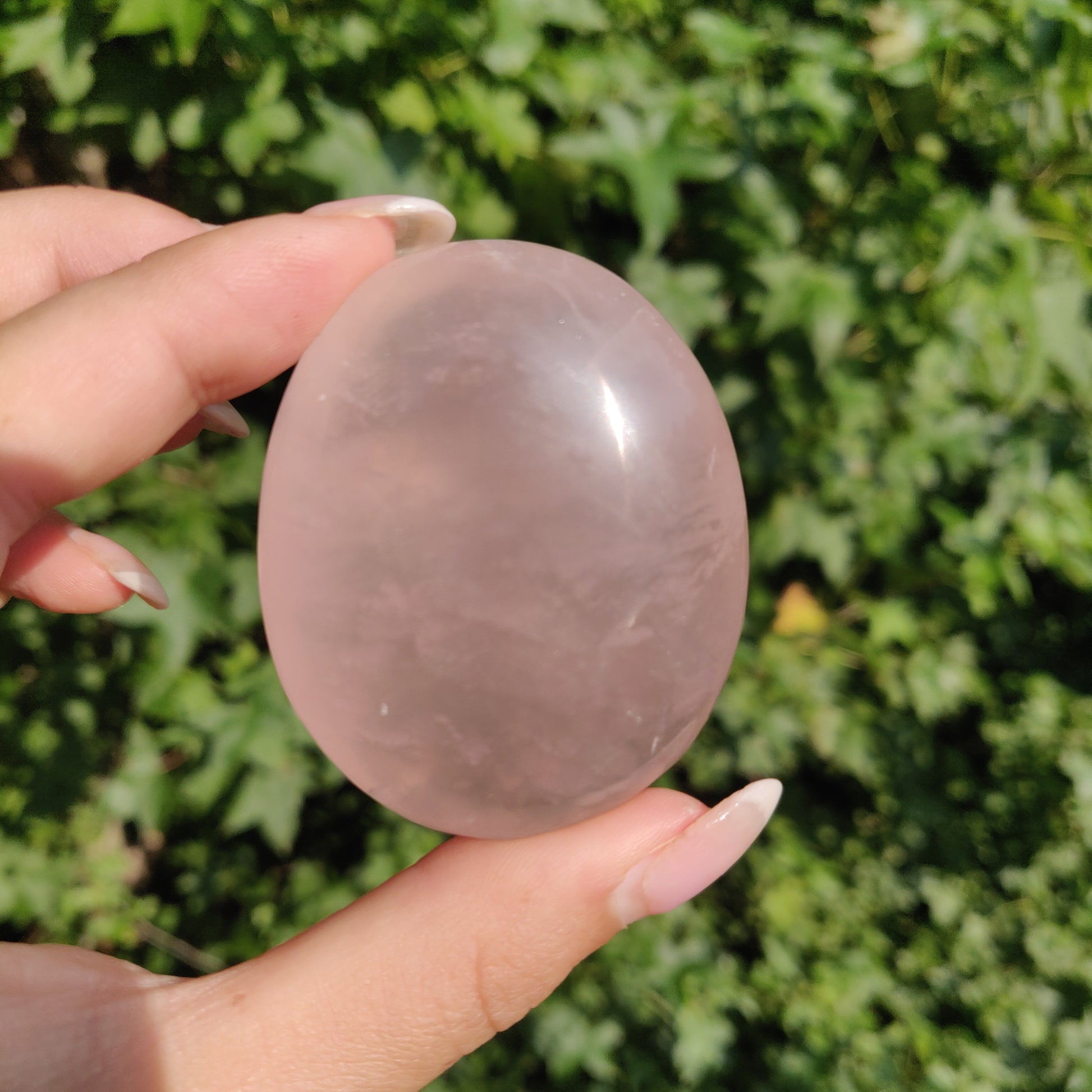 Rose Quartz Palm Stone, Star Rose Quartz (#4) - Simply Affinity
