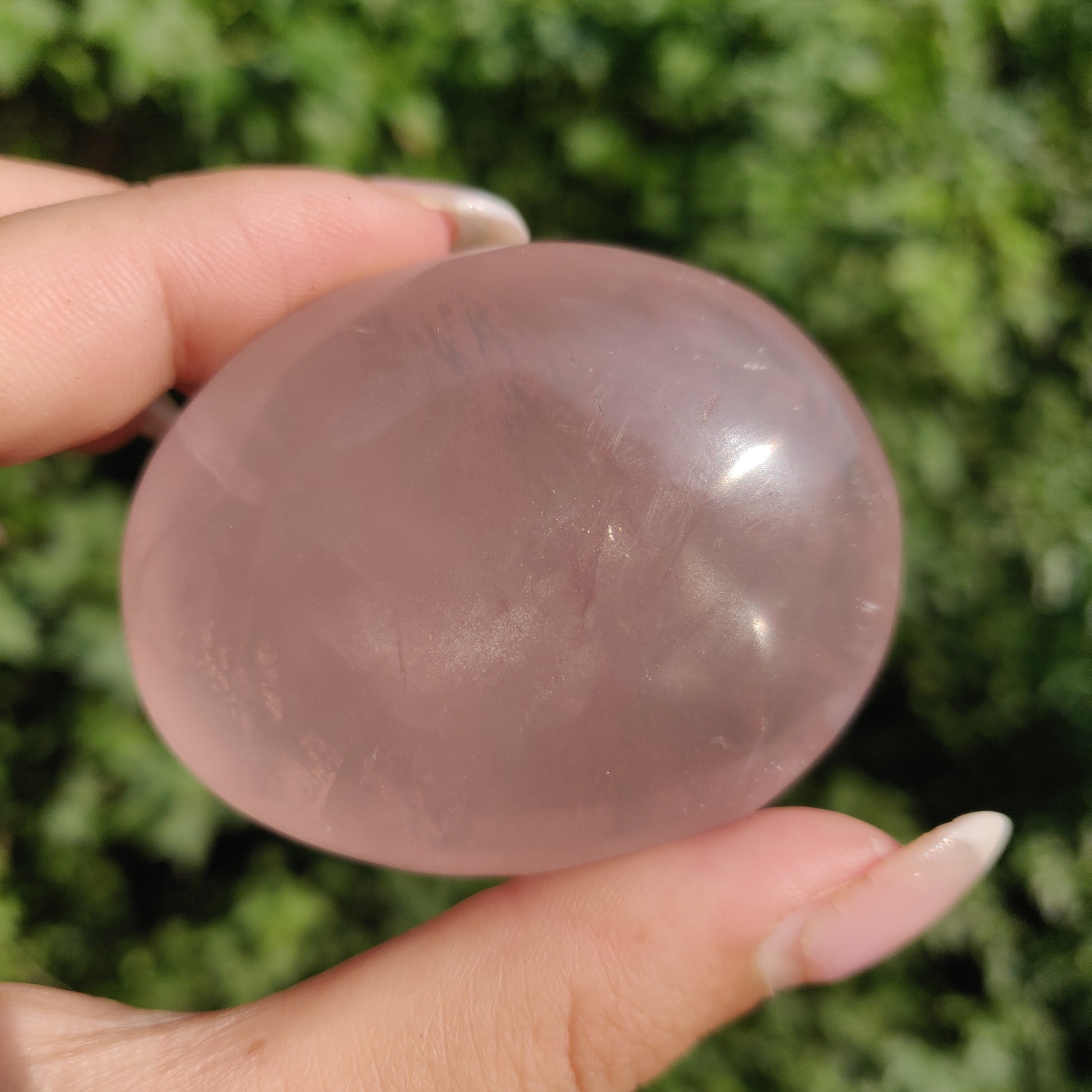 Rose Quartz Palm Stone, Star Rose Quartz (#4) - Simply Affinity