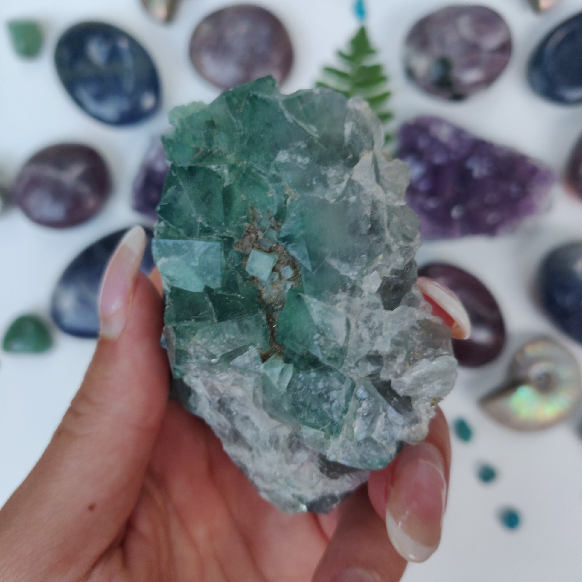 Raw Cubic Fluorite Cluster (#8) - Simply Affinity