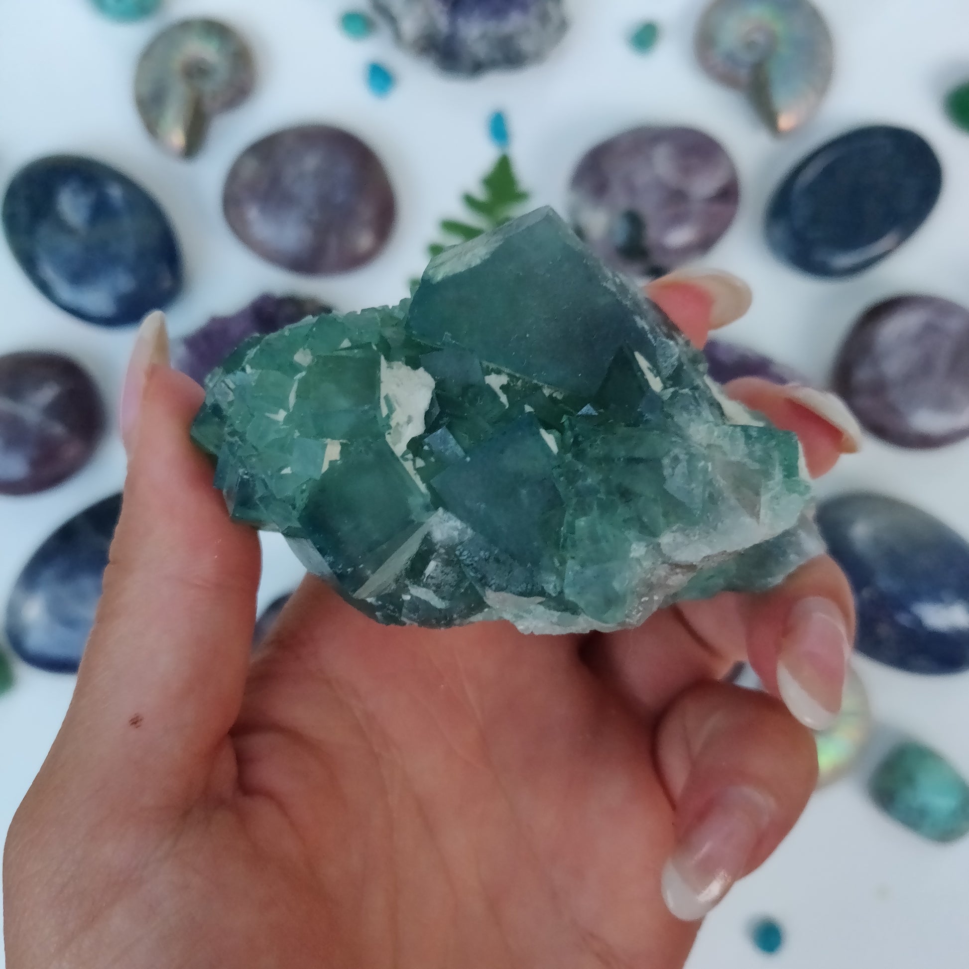 Raw Cubic Fluorite Cluster (#9) - Simply Affinity