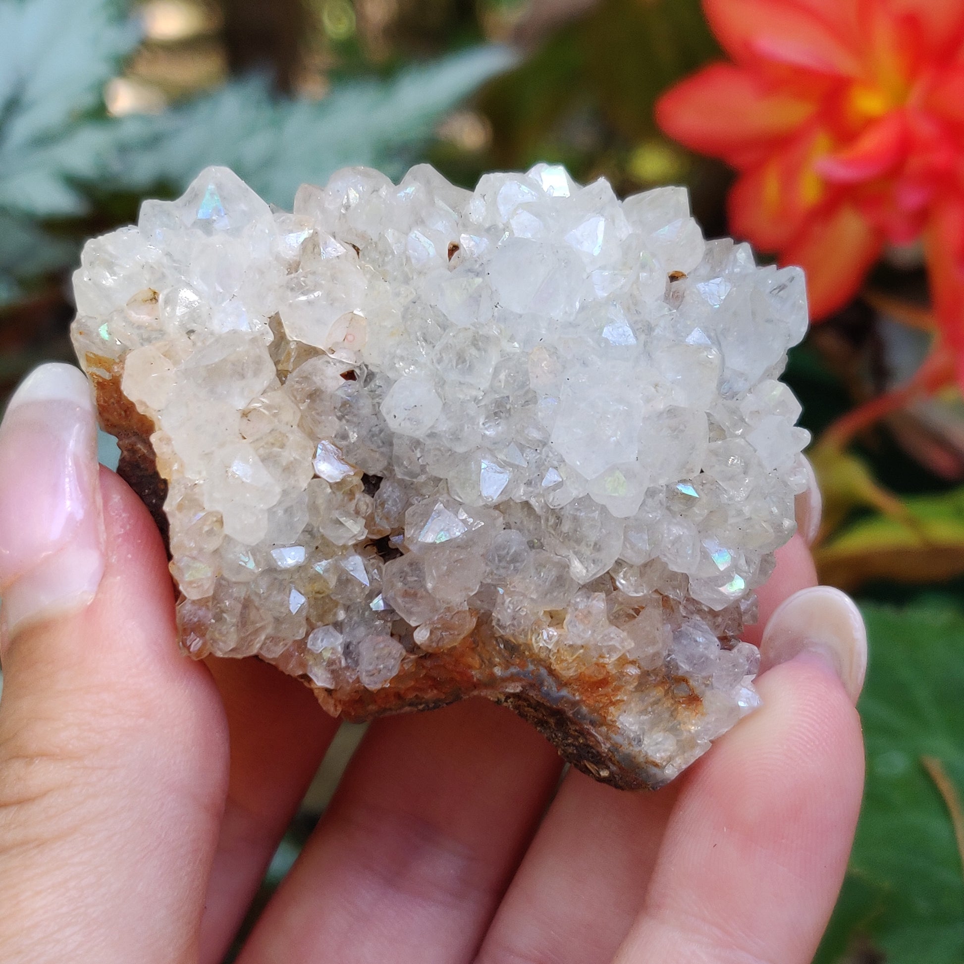 Anandalite Cluster, Natural Aurora Quartz Cluster (#13) - Simply Affinity