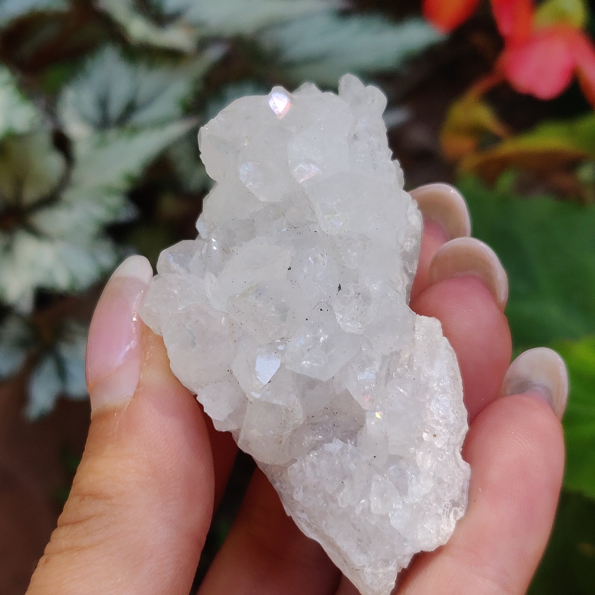 Anandalite Cluster, Natural Aurora Quartz Cluster (#14) - Simply Affinity