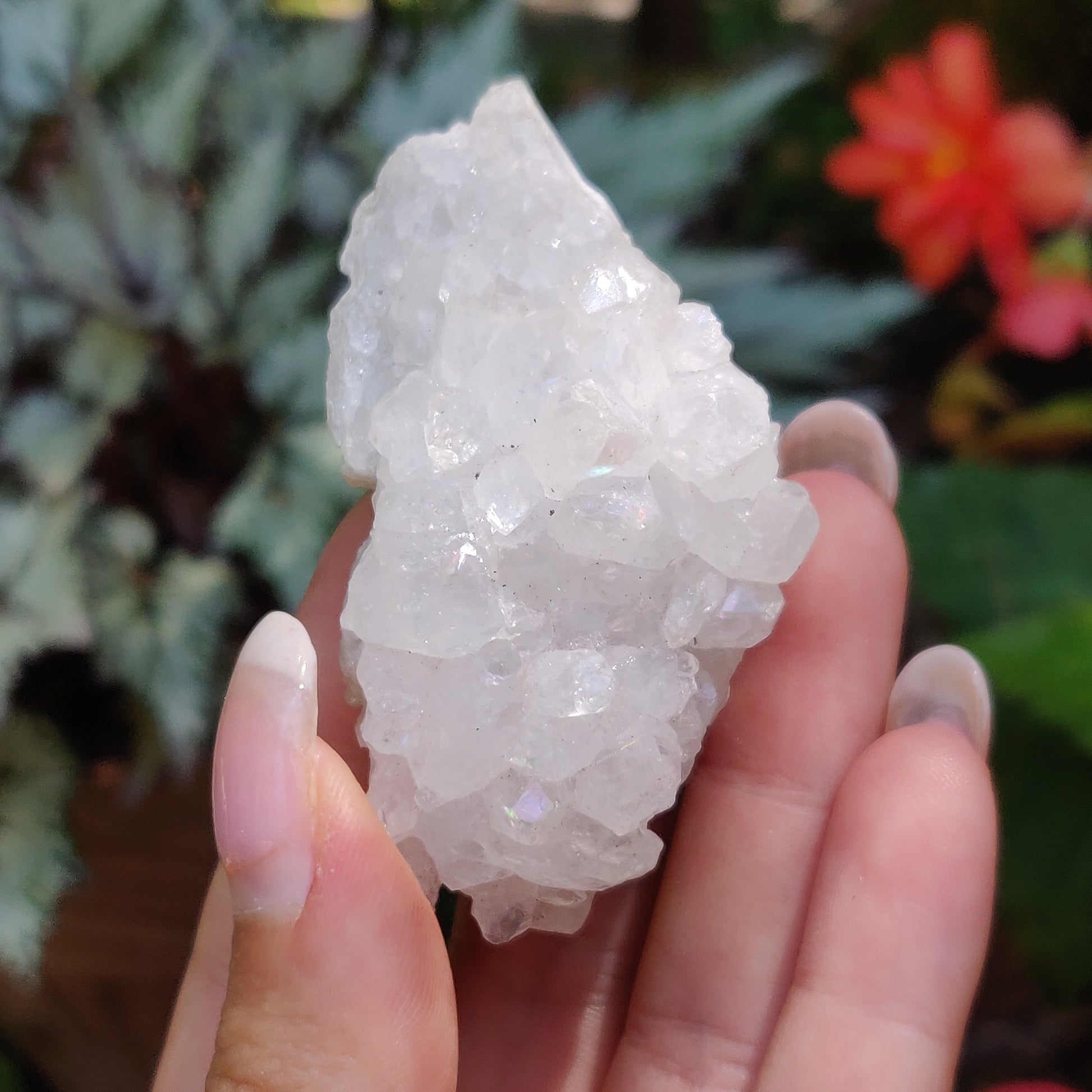 Anandalite Cluster, Natural Aurora Quartz Cluster (#14) - Simply Affinity