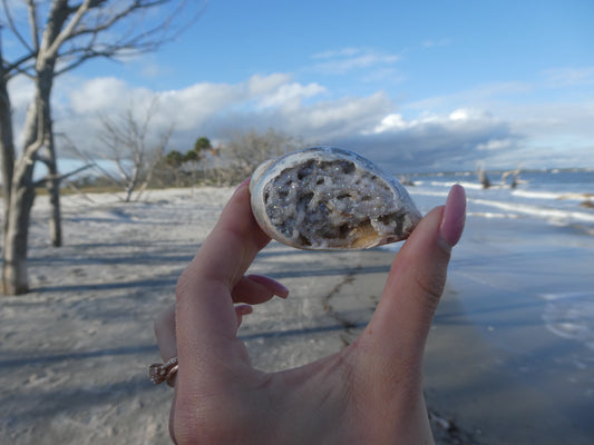 Aura Druzy Shell (#13) - Simply Affinity