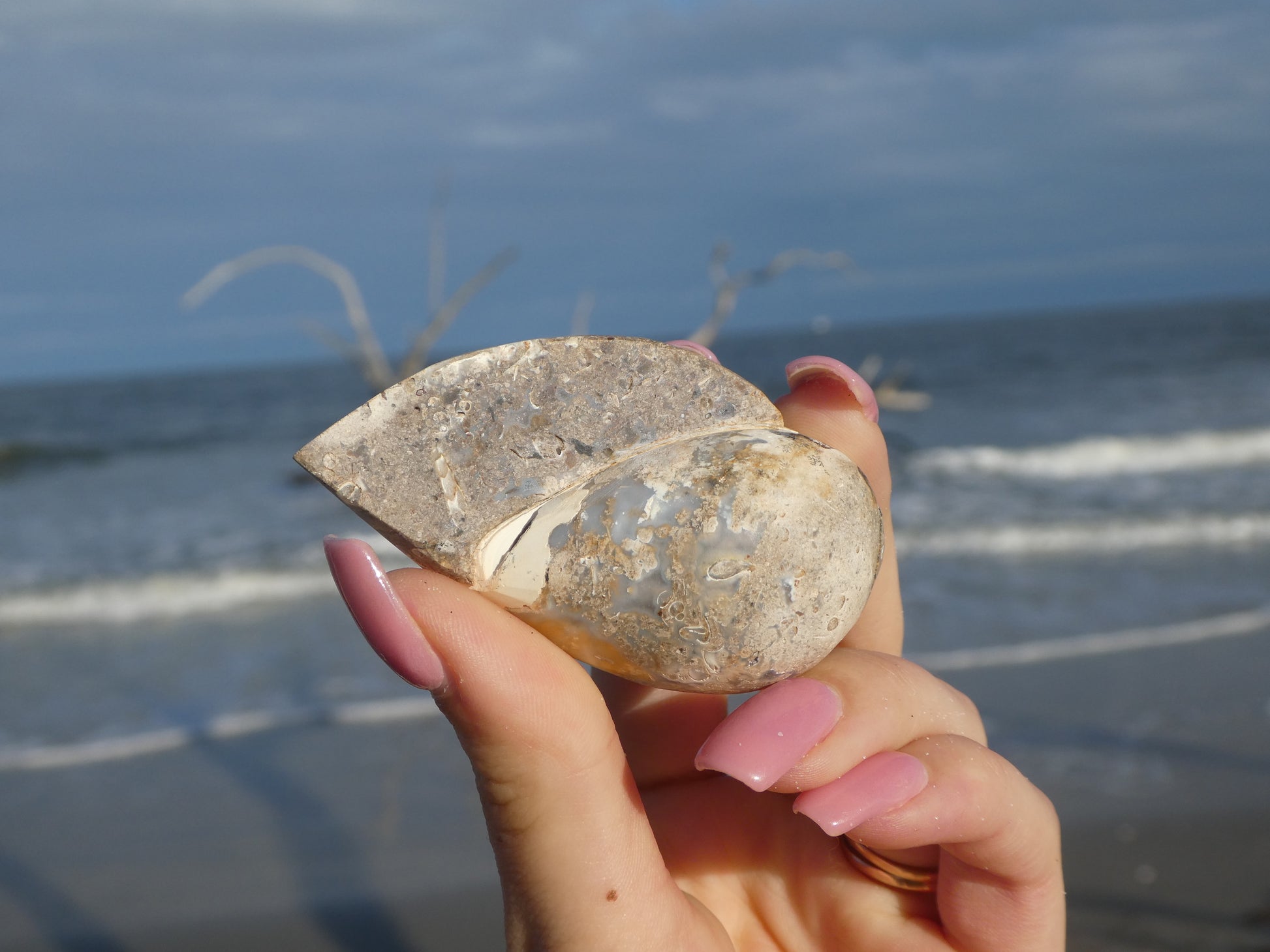 Aura Druzy Shell (#13) - Simply Affinity