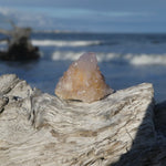 Amethyst Spirit Quartz Point, Amethyst Cactus Quartz (#9) - Simply Affinity