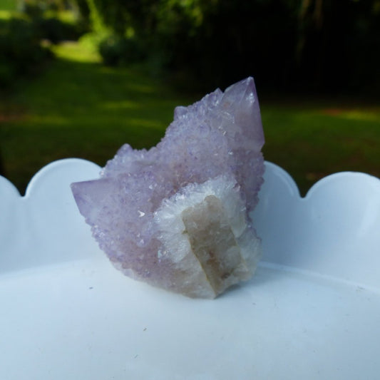 Amethyst Spirit Quartz Cluster, Amethyst Cactus Quartz (#4) - Simply Affinity