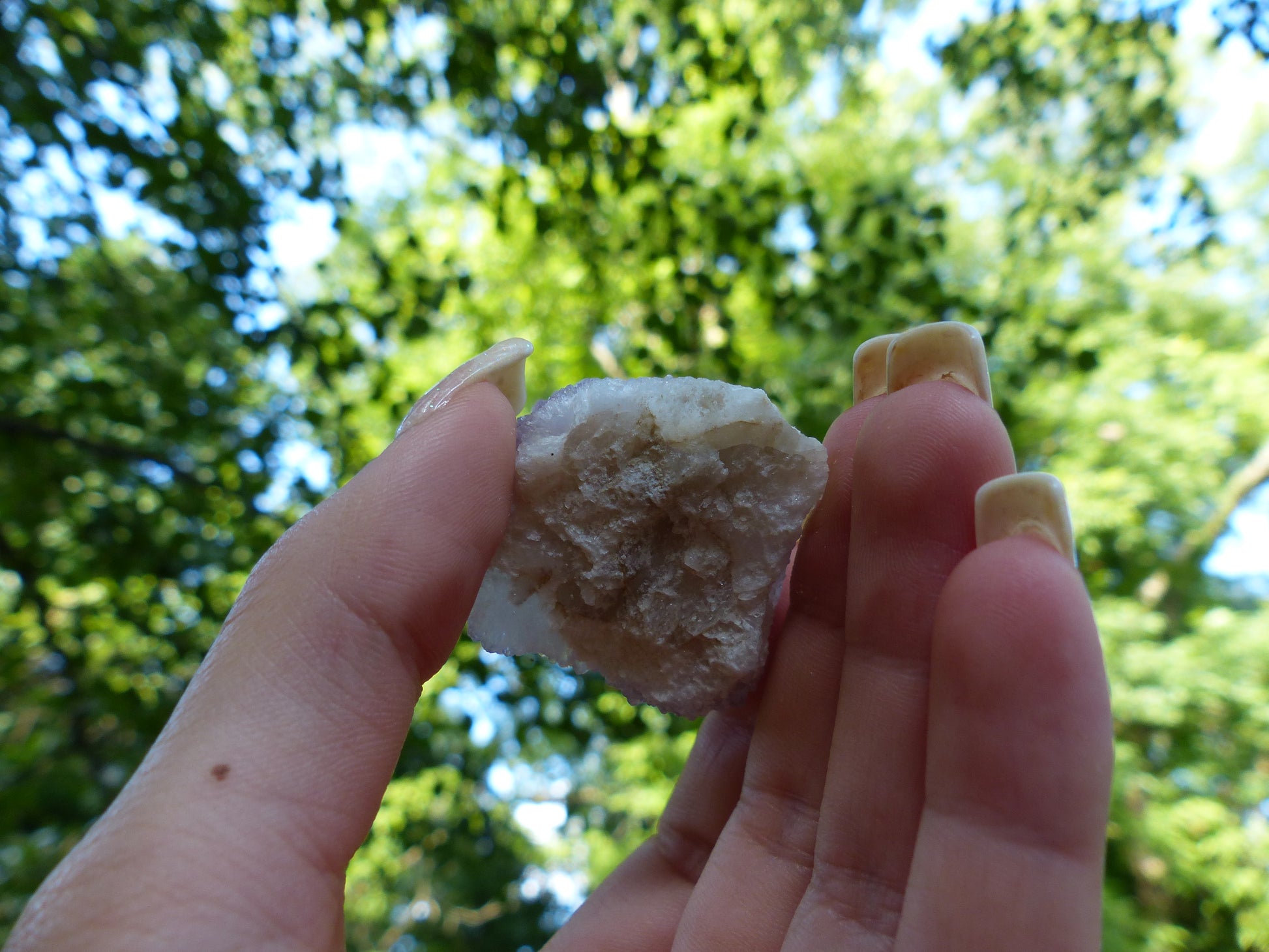 Amethyst Spirit Quartz Cluster, Amethyst Cactus Quartz (#4) - Simply Affinity