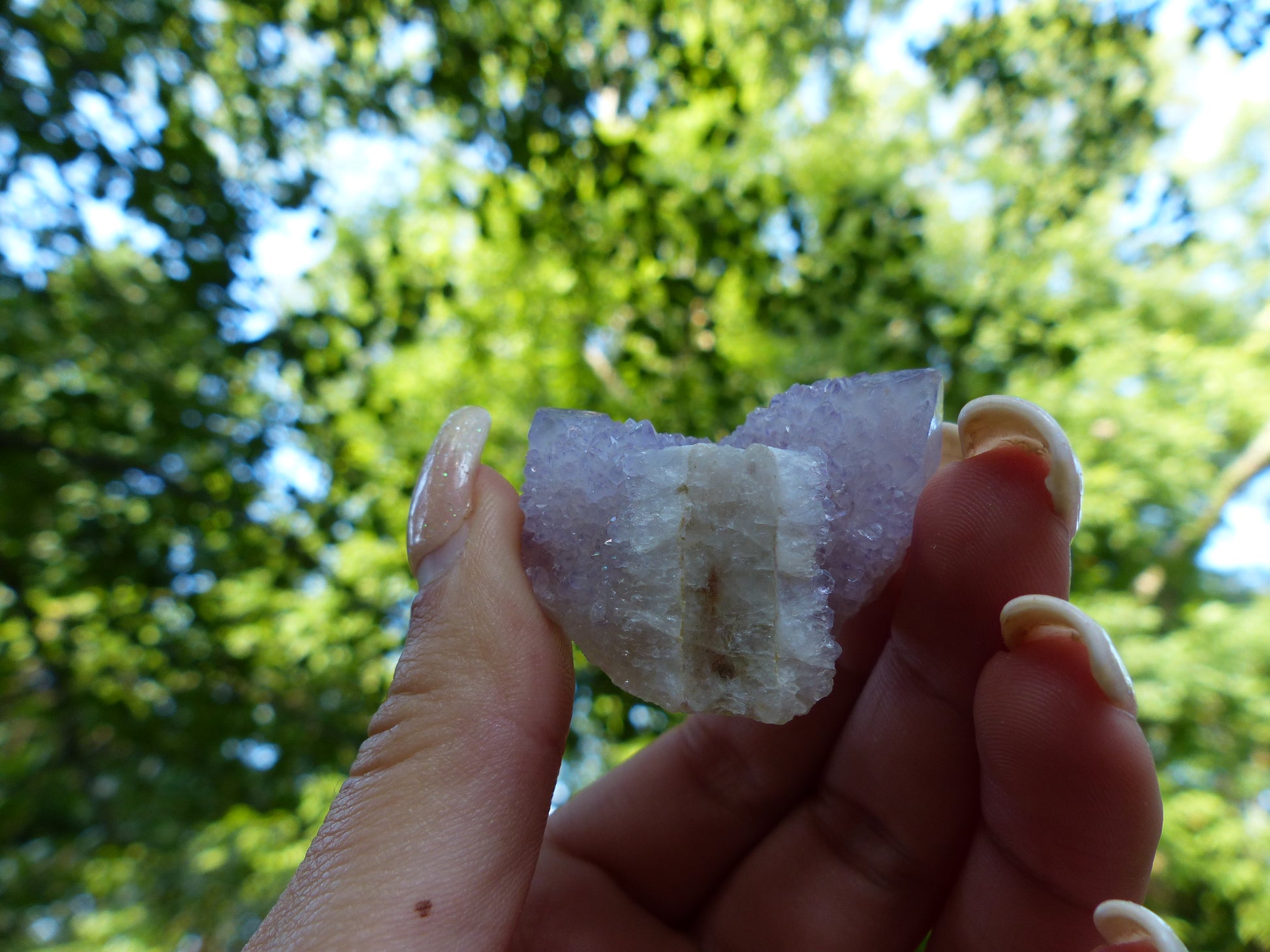 Amethyst Spirit Quartz Cluster, Amethyst Cactus Quartz (#4) - Simply Affinity