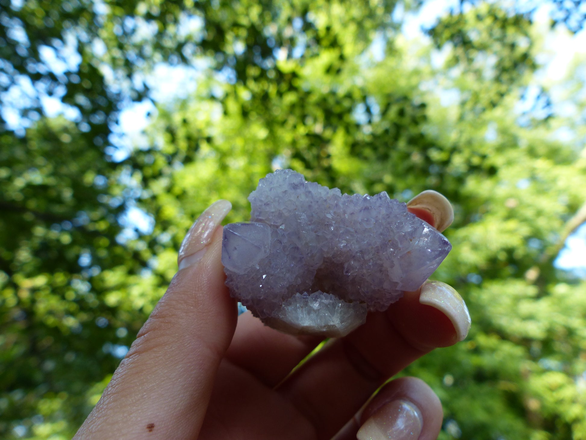 Amethyst Spirit Quartz Cluster, Amethyst Cactus Quartz (#4) - Simply Affinity