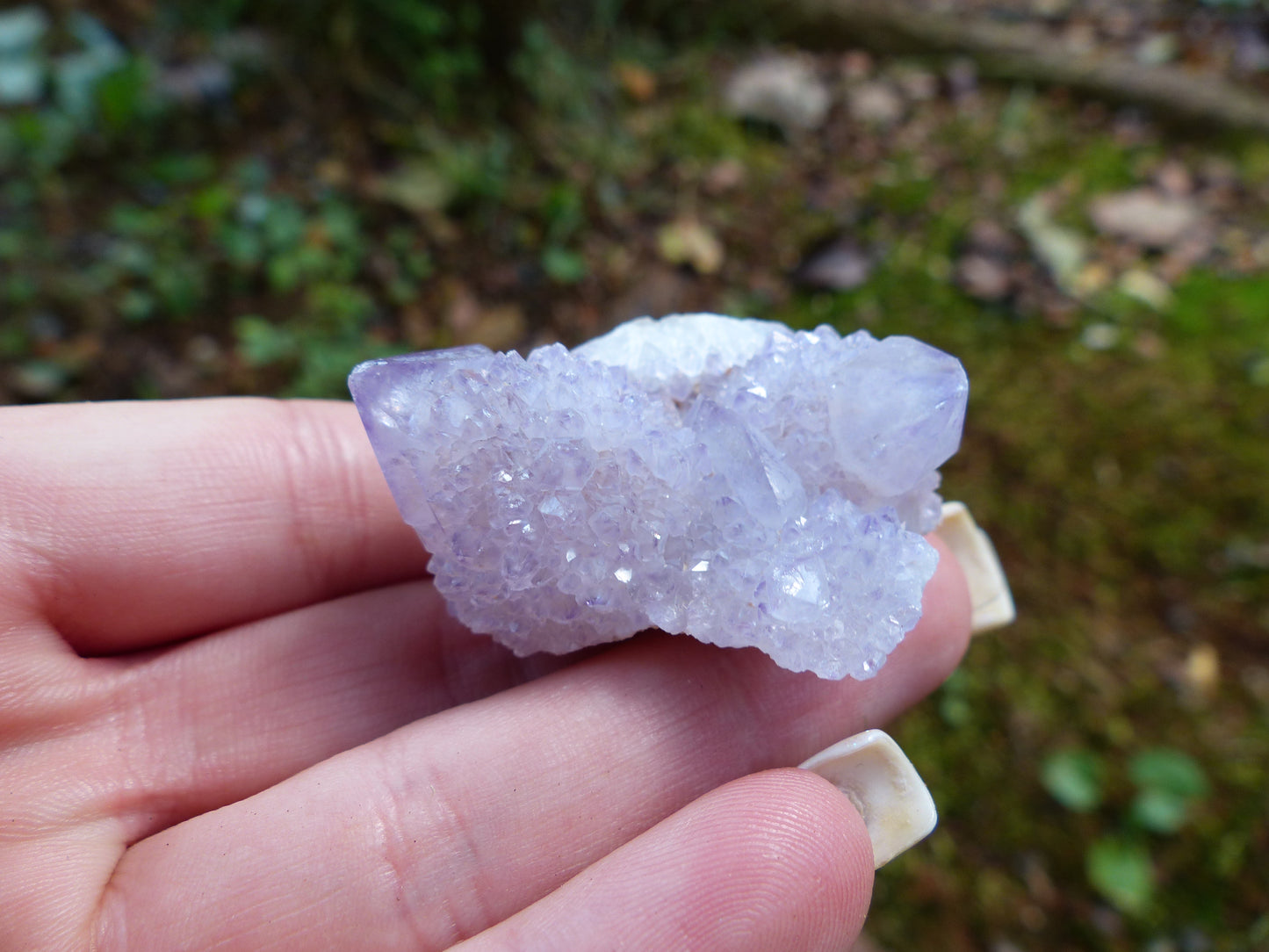 Amethyst Spirit Quartz Cluster, Amethyst Cactus Quartz (#4) - Simply Affinity