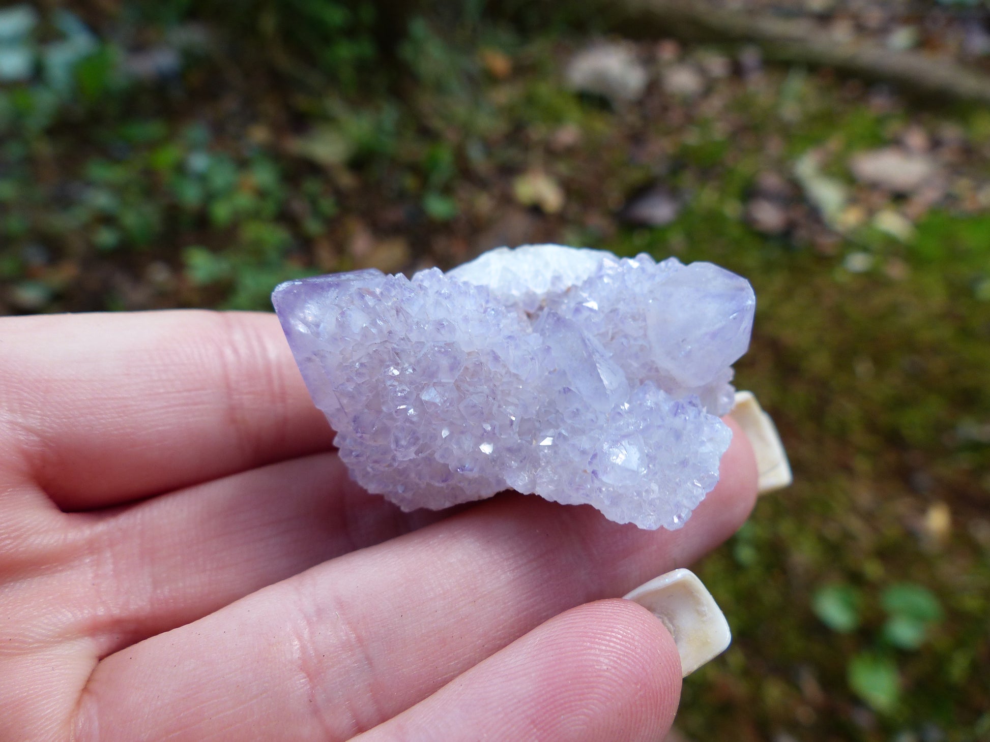 Amethyst Spirit Quartz Cluster, Amethyst Cactus Quartz (#4) - Simply Affinity