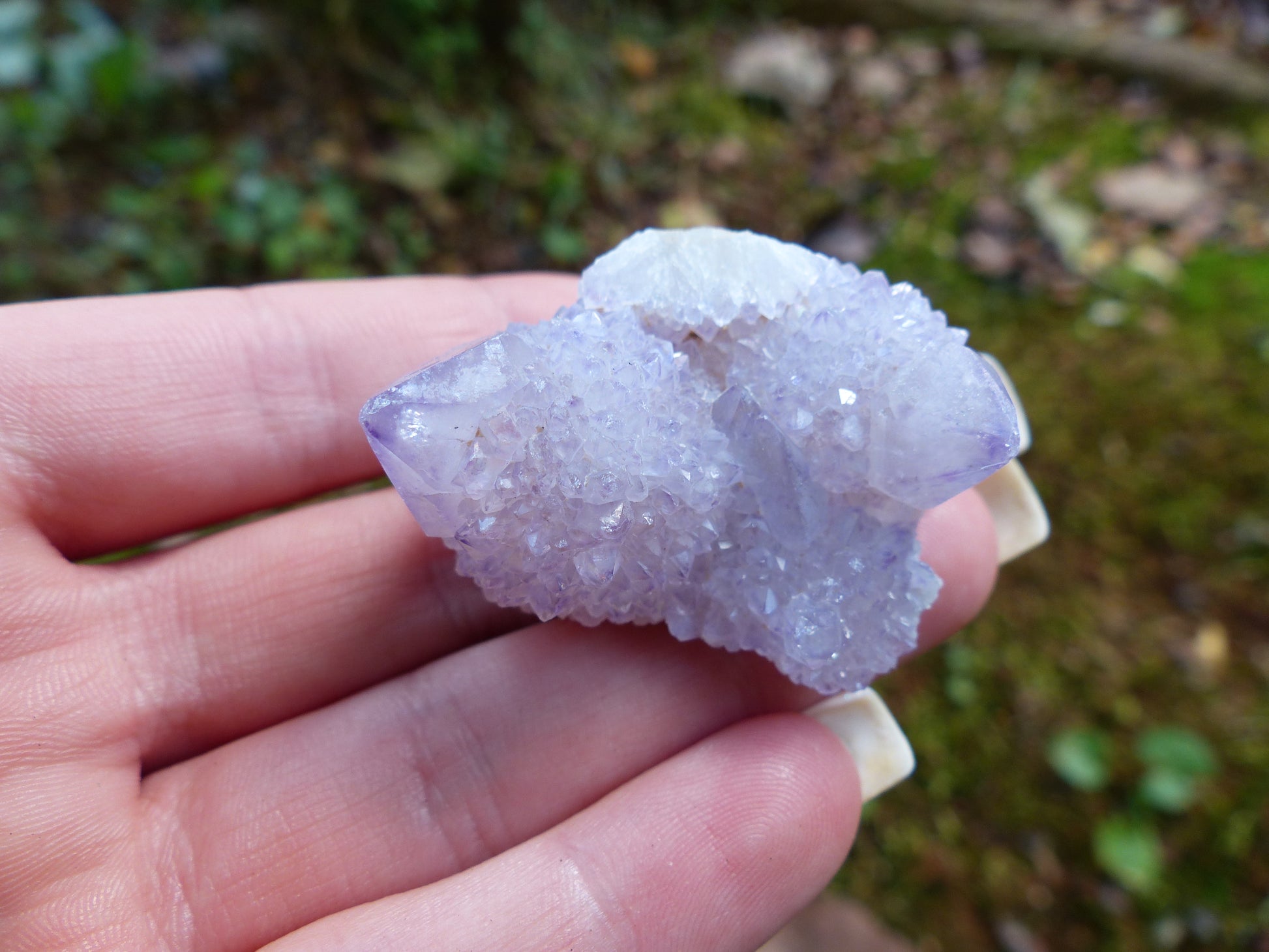 Amethyst Spirit Quartz Cluster, Amethyst Cactus Quartz (#4) - Simply Affinity