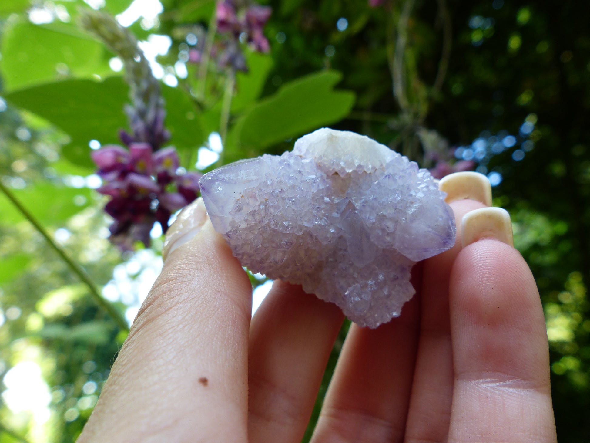 Amethyst Spirit Quartz Cluster, Amethyst Cactus Quartz (#4) - Simply Affinity