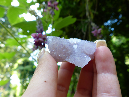 Amethyst Spirit Quartz Cluster, Amethyst Cactus Quartz (#4) - Simply Affinity