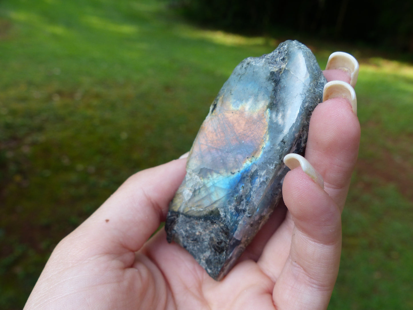 Labradorite Slab, Rainbow Labradorite (#17)