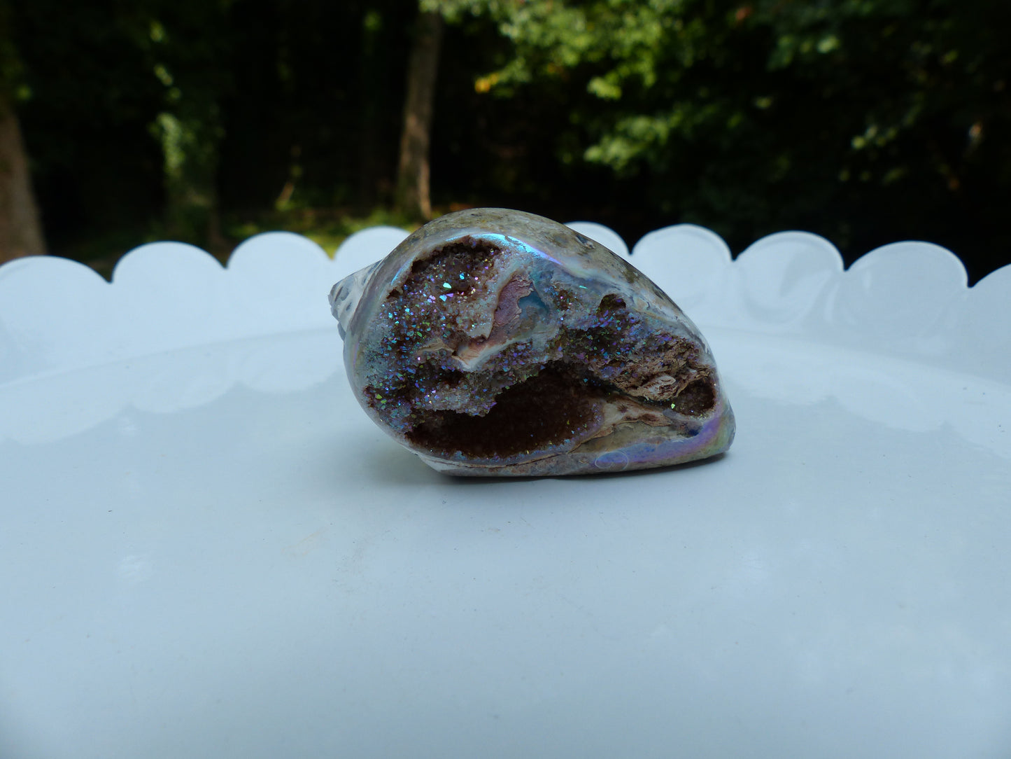 Aura Druzy Shell (#3) - Simply Affinity