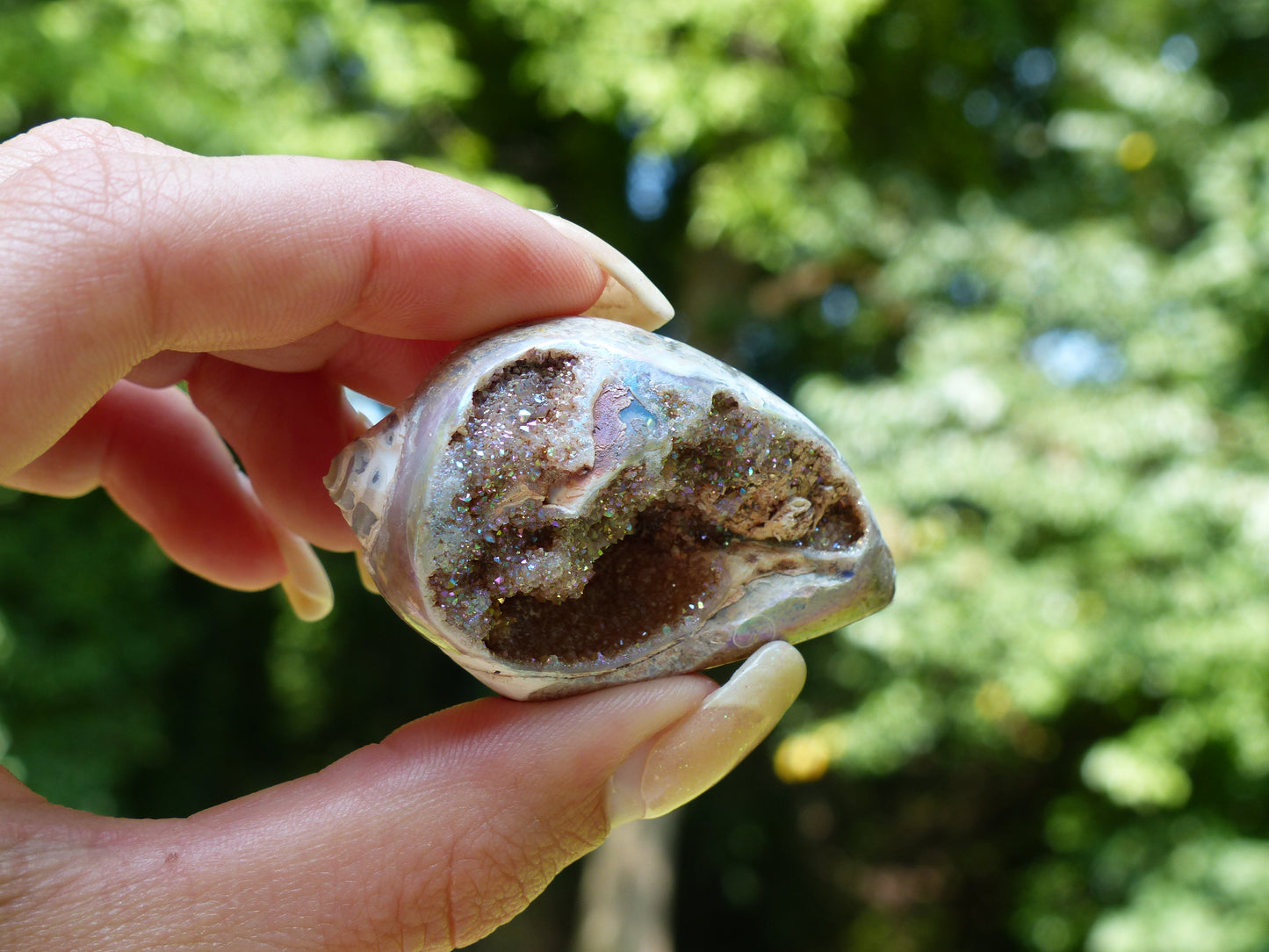 Aura Druzy Shell (#3) - Simply Affinity