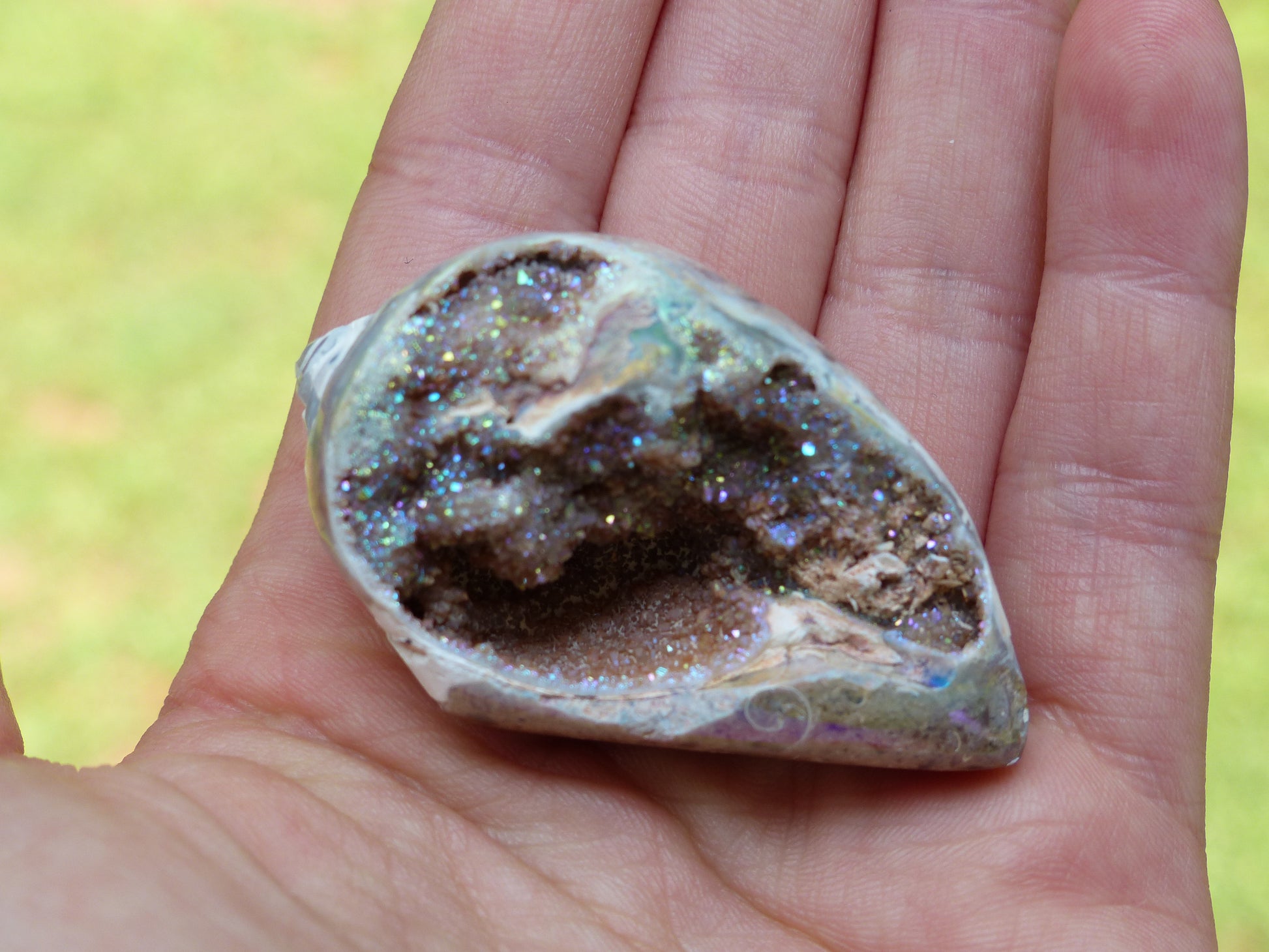 Aura Druzy Shell (#3) - Simply Affinity