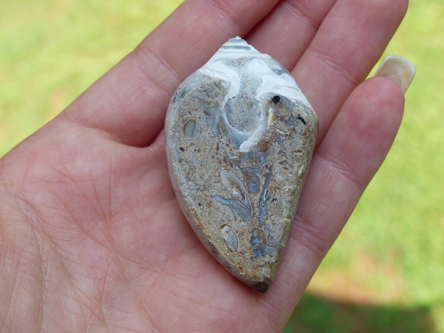 Aura Druzy Shell (#3) - Simply Affinity