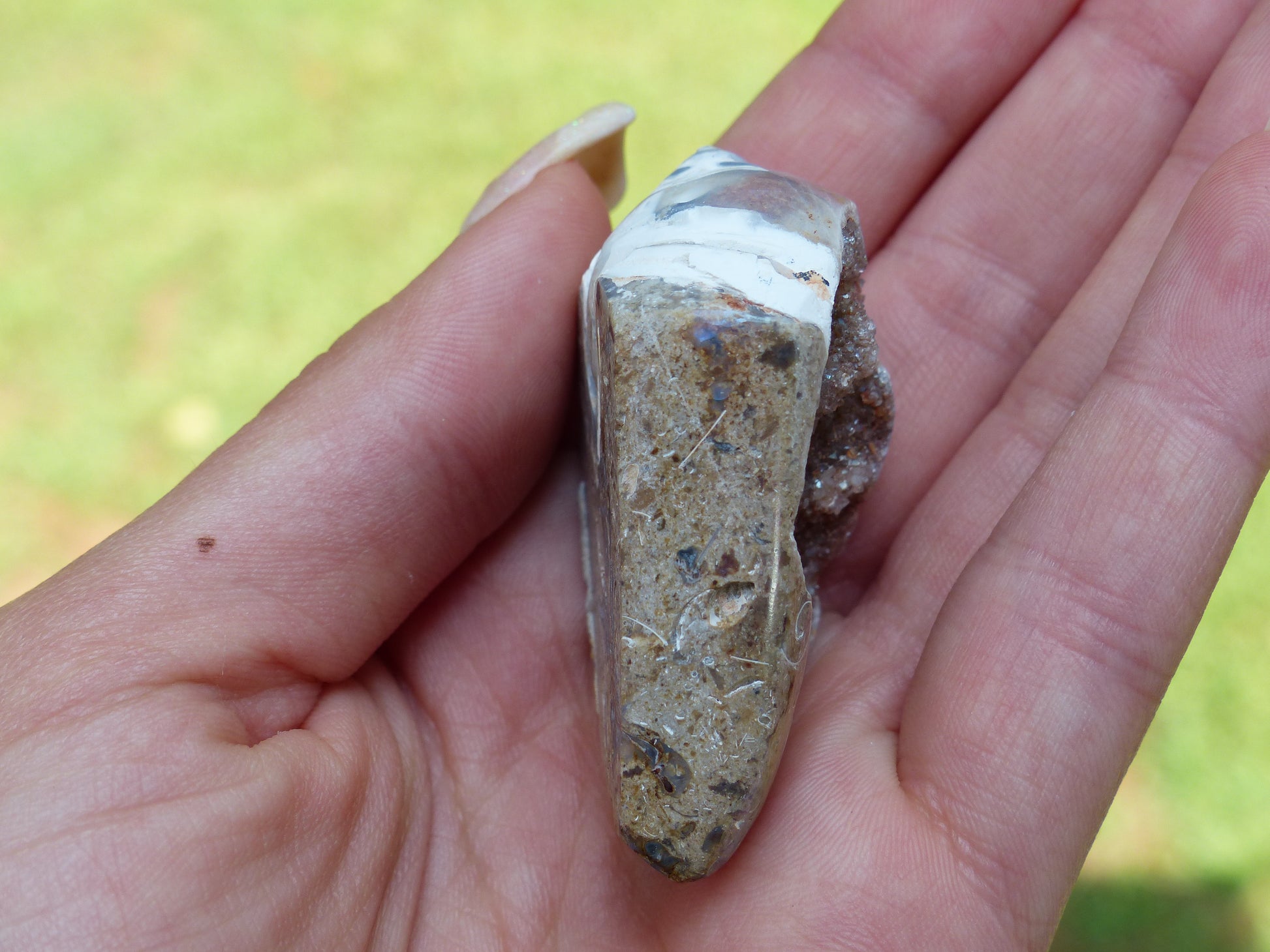 Aura Druzy Shell (#3) - Simply Affinity