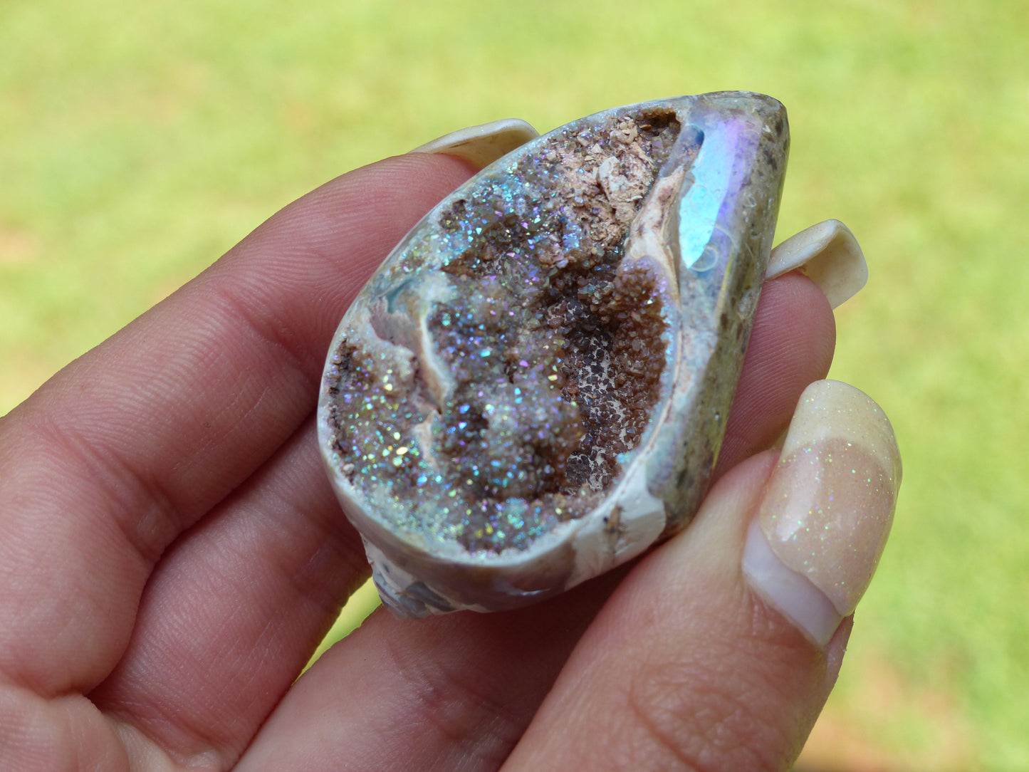 Aura Druzy Shell (#3) - Simply Affinity