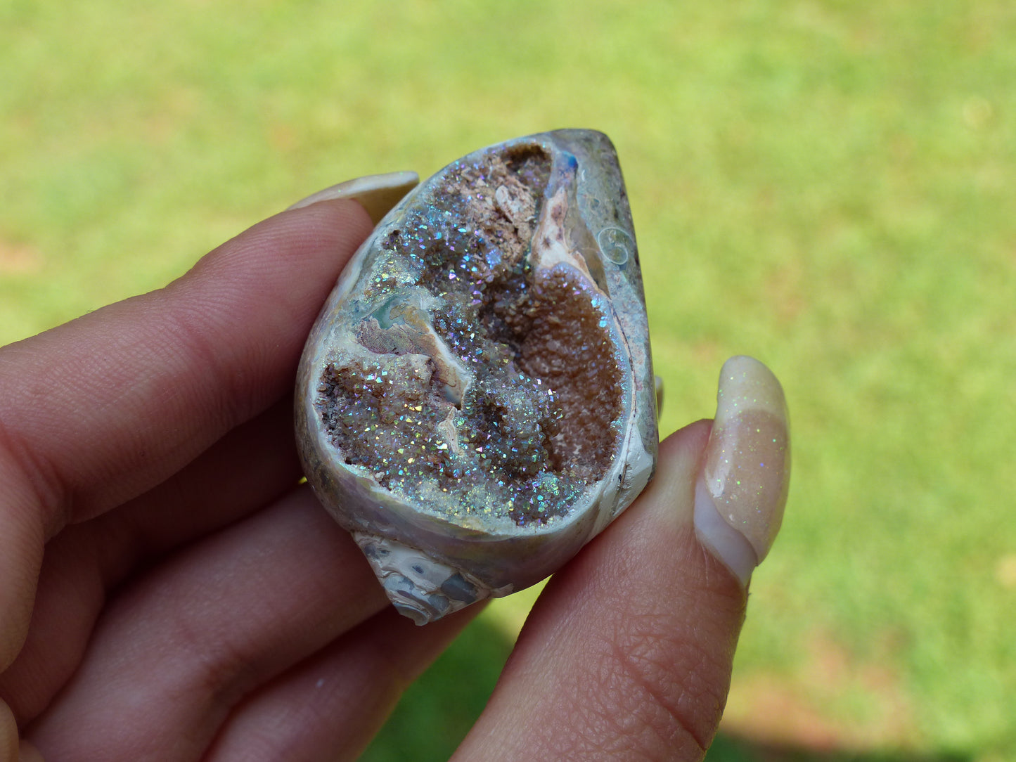Aura Druzy Shell (#3) - Simply Affinity