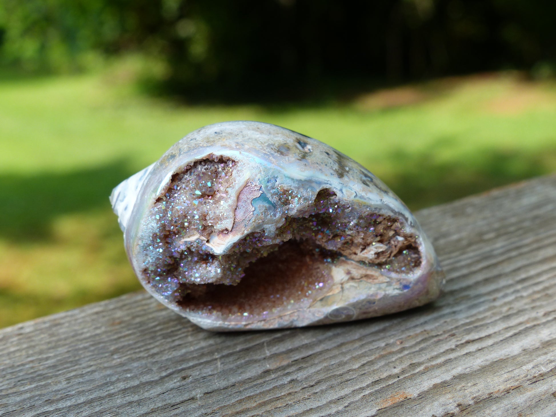Aura Druzy Shell (#3) - Simply Affinity
