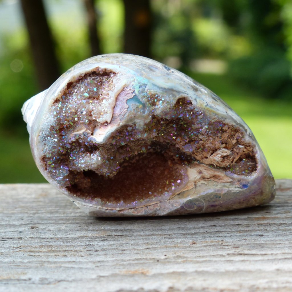 Aura Druzy Shell (#3) - Simply Affinity